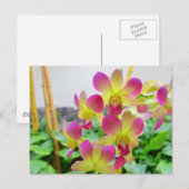 Gele roze orchideeën briefkaart (Voorkant / Achterkant)