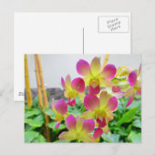 Gele roze orchideeën briefkaart (Voorkant / Achterkant)