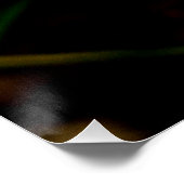 Gele roze Paarse Miltonia Sunset Orchids Poster (Hoek)