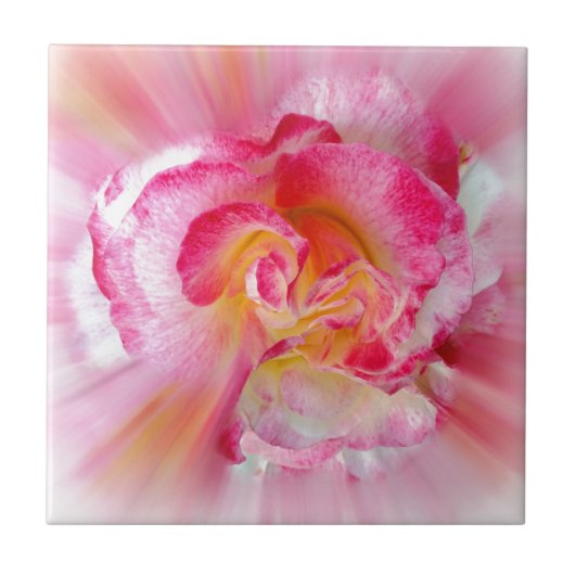 gele roze Roos Tegeltje (Voorkant)