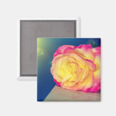  gele roze roze roze in bloom magneet (Voorkant / Achterkant)
