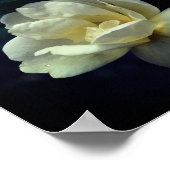 Gele rozen bloeien poster (Hoek)