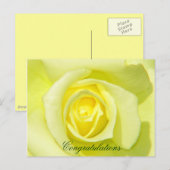 Gele rozen_ briefkaart (Voorkant / Achterkant)