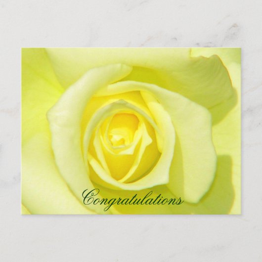 Gele rozen_ briefkaart (Voorkant)