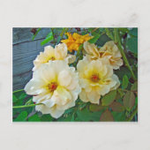 Gele rozen briefkaart (Voorkant)