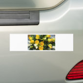Gele rozen bumpersticker (Op auto)