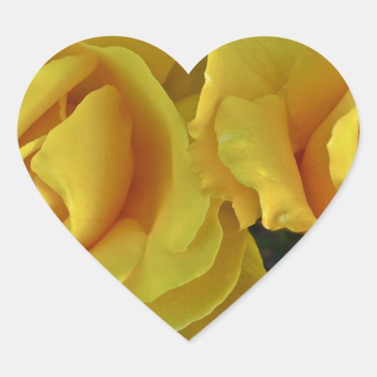 Gele rozen drijven in de ruimte hart sticker (Voorkant)