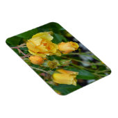 Gele rozen florale afdrukmagneet magneet (Rechterzijde)