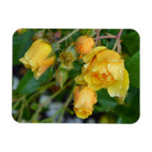 Gele rozen florale afdrukmagneet magneet (Horizontaal)