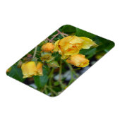 Gele rozen florale afdrukmagneet magneet (Linkerzijde)
