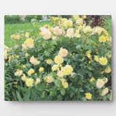 Gele rozen fotoplaat (Voorkant)