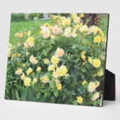 Gele rozen fotoplaat (Zijkant)