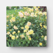 Gele rozen fotoplaat (Voorkant)