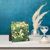 Gele rozen fotoplaat (Insitu)