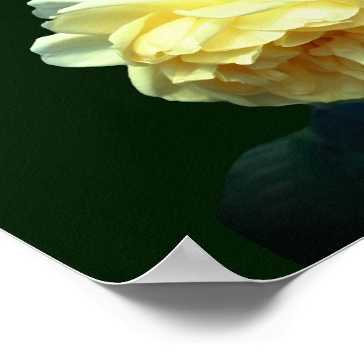 Gele Rozen Gepersonaliseerde Bruiloft Gift Poster (Hoek)