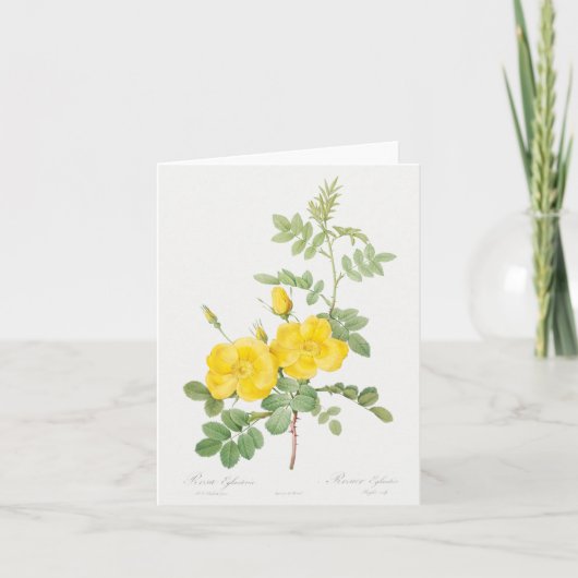 Gele rozen groet kaart (Voorkant)