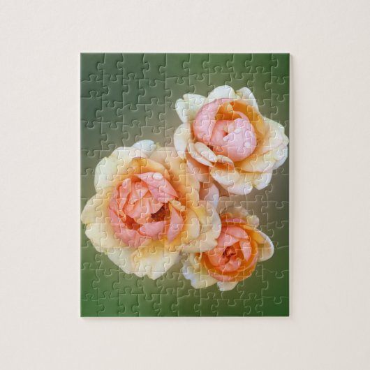gele rozen legpuzzel (Verticaal)