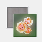 gele rozen magneet (Voorkant / Achterkant)