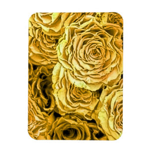 Gele rozen magneet