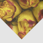 Gele rozen met papier van fijn papier met rode sti (Detail)