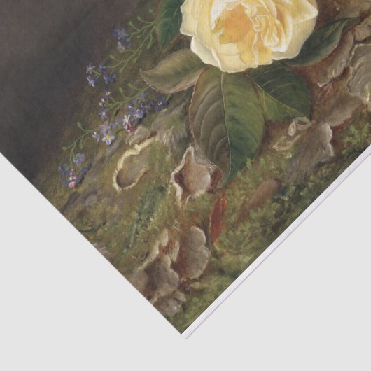 Gele rozen, ontkoppeling tissuepapier (Detail)