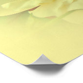 Gele rozen poster (Hoek)