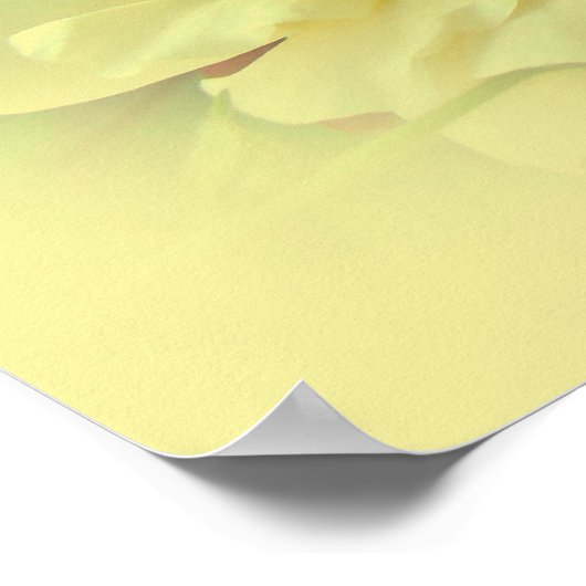 Gele rozen poster (Hoek)