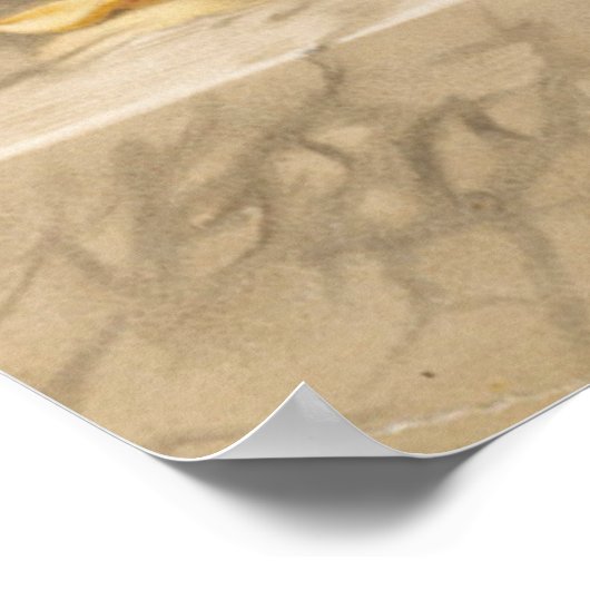 Gele rozen poster (Hoek)