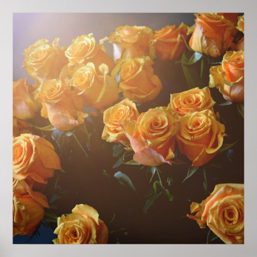 Gele rozen poster (Voorkant)