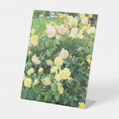 Gele rozen reclamebord met voetstuk (Voorkant)