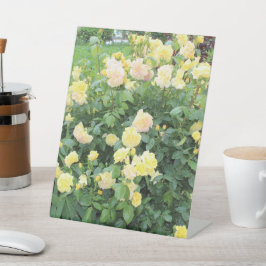 Gele rozen reclamebord met voetstuk