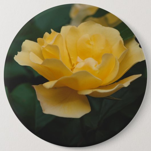 Gele rozen ronde button 6,0 cm (Voorkant)