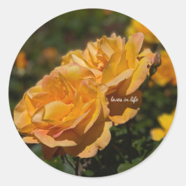 Gele Rozen Ronde Sticker