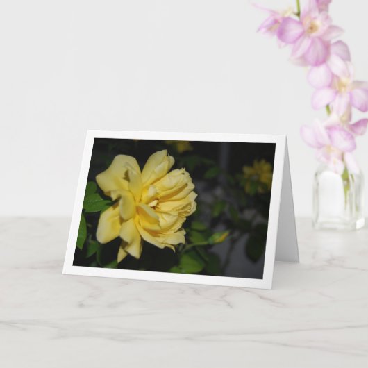 Gele Rozen 's Nachts Portret Kaart (Orchidee)