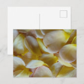 Gele rozenblaadjes briefkaart (Voorkant / Achterkant)