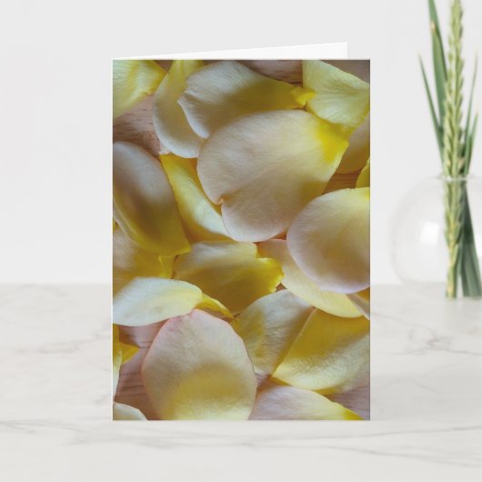 Gele rozenblaadjes kaart (Voorkant)