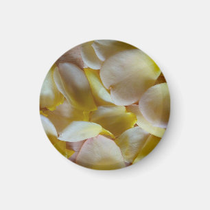 Gele rozenblaadjes magneet