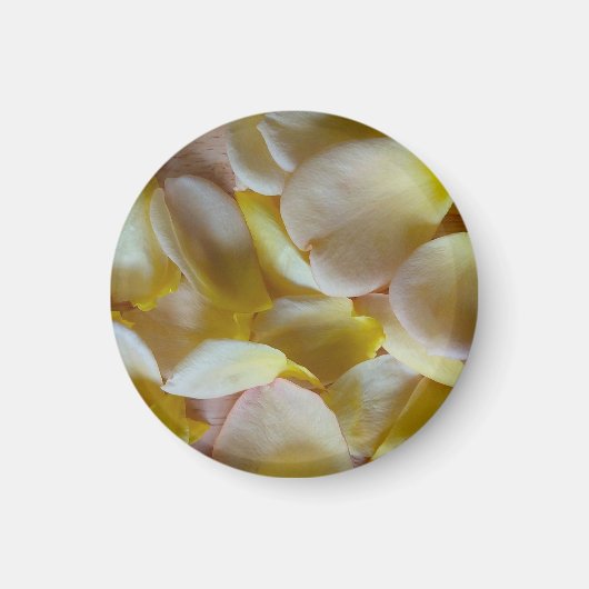 Gele rozenblaadjes magneet (Voorkant)