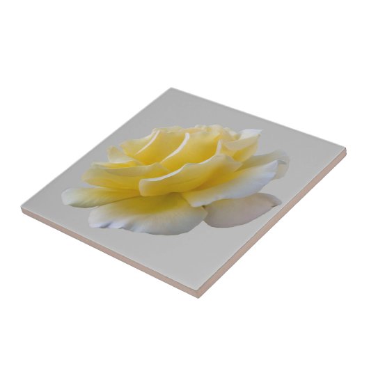 Gele rozenblaadjes tegeltje (Zijkant)