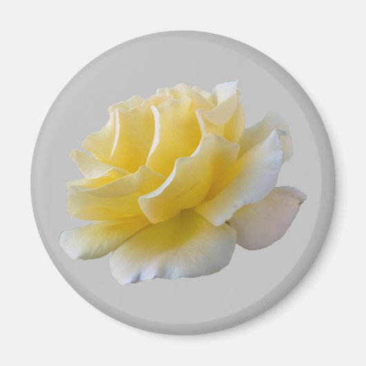 Gele rozenbladen magneet (Voorkant)