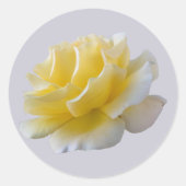 Gele rozenbladen ronde sticker (Voorkant)