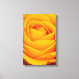 Gele rozenbloem Canvas druk