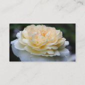 Gele rozenbloem in het Visitekaartje Bloom (Achterkant)