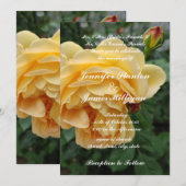 Gele rozenbloem kaart (Voorkant / Achterkant)
