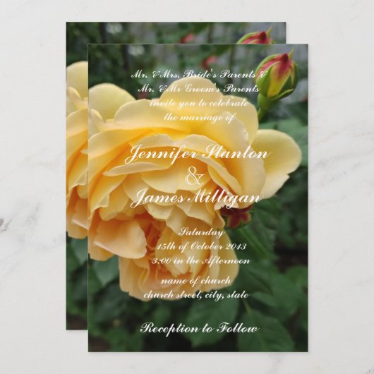 Gele rozenbloem kaart (Voorkant / Achterkant)