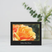 gele rozenbloem , liefde en romance briefkaart (Staand voorkant)