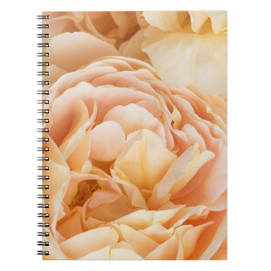 Gele rozenbloem notitieboek (Voorkant)