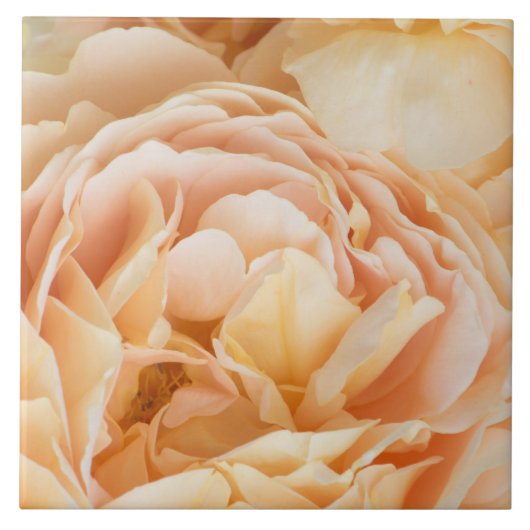 Gele rozenbloem tegeltje (Voorkant)