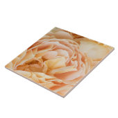 Gele rozenbloem tegeltje (Zijkant)