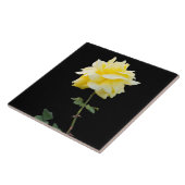 Gele rozenbloem tegeltje (Zijkant)